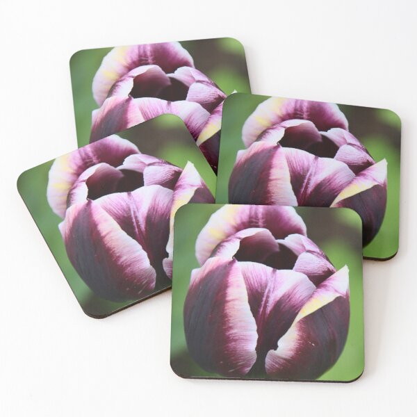 Item preview, Tulip bicolor designed and sold by Roswitha Lorz.