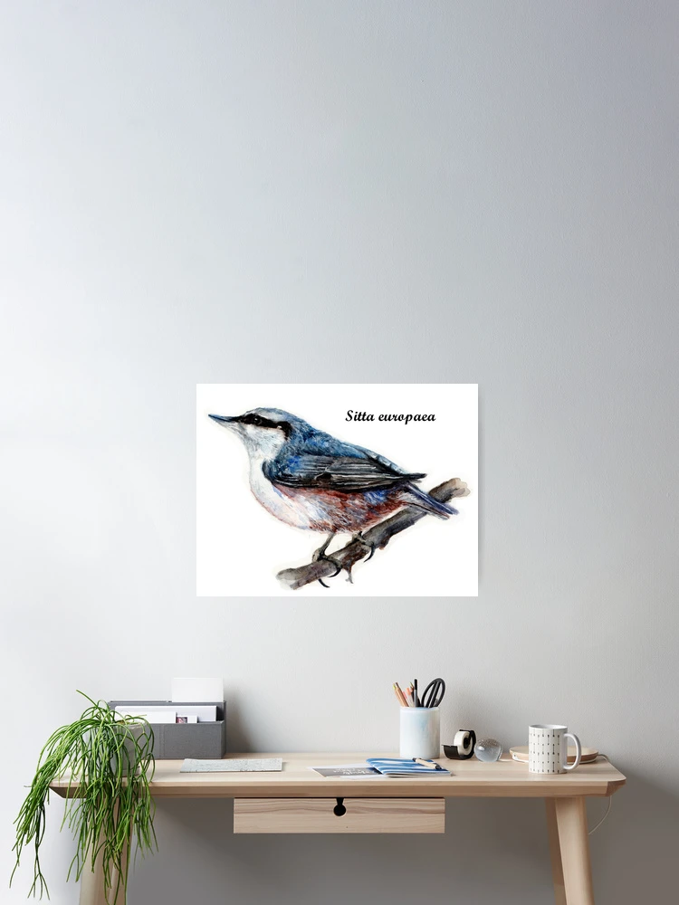 Thumbnail 2 of 3, Poster, Nuthatch designed and sold by AnnaShell.
