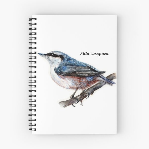 Item preview, Nuthatch designed and sold by AnnaShell.