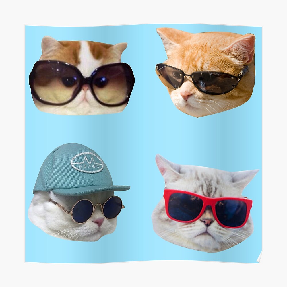 Sticker Pack D Autocollants Chats Avec Lunettes Par Saracreates Redbubble