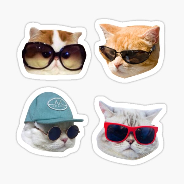 Katzen mit Brille Aufkleber Pack Sticker