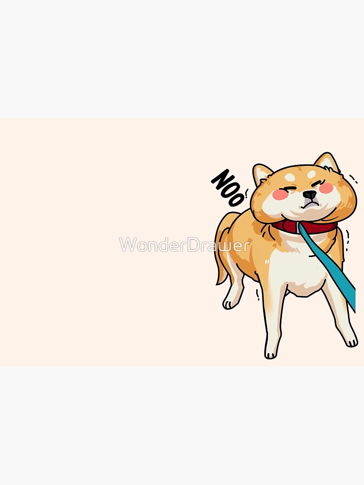 Shiba Inu Pulls the Leash