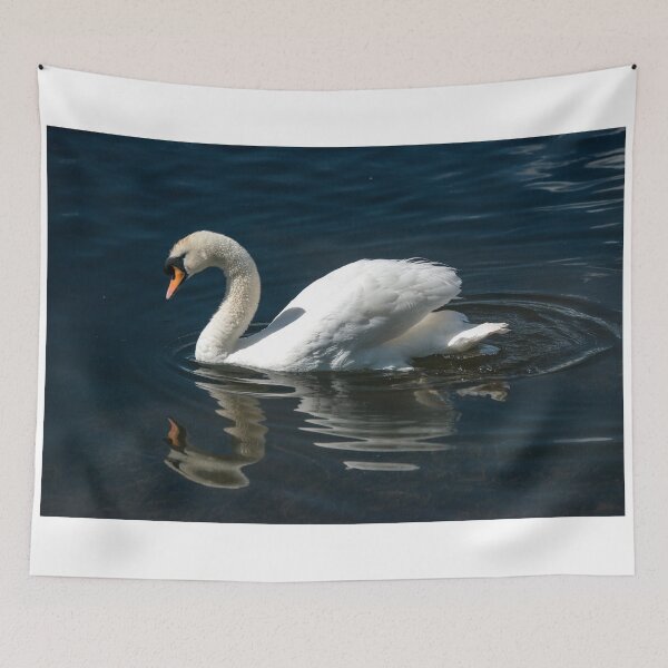 Item preview, Solitary Swan and Reflection on a lake designed and sold by Cameranick.