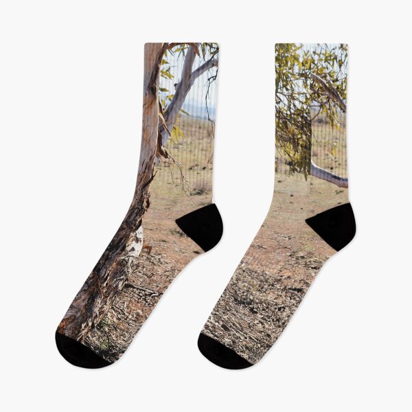 Item preview, Lone Tree in Hawker - Gateway to the Flinders designed and sold by imaginethis.