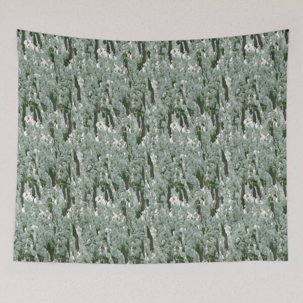 Tapestry