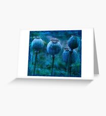 Andrea's Blue Poppies Greeting Card