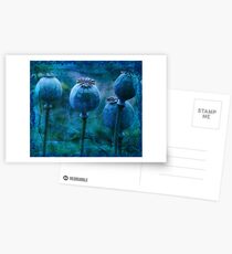 Andrea's Blue Poppies Postcards