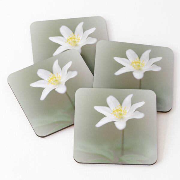 Item preview, Wood Anemone designed and sold by heidipics.