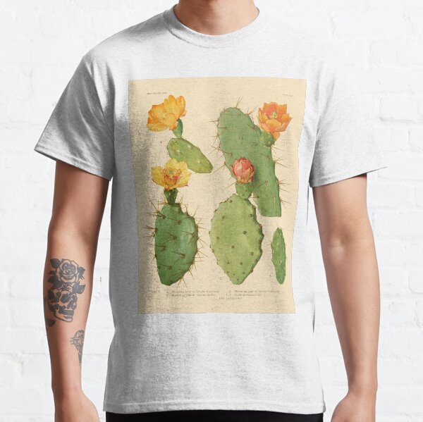 Prickly Pear Cactus Illustration Art\