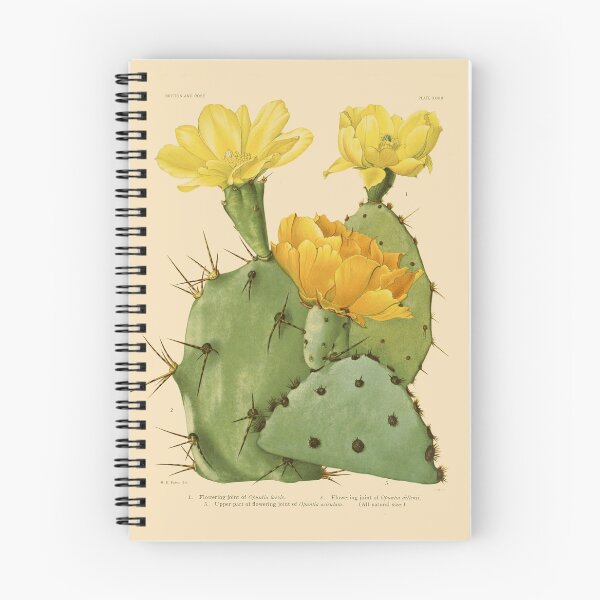 Item preview, Opuntia Prickly Pear Cactus with Orange Flowers designed and sold by CarlsArt.