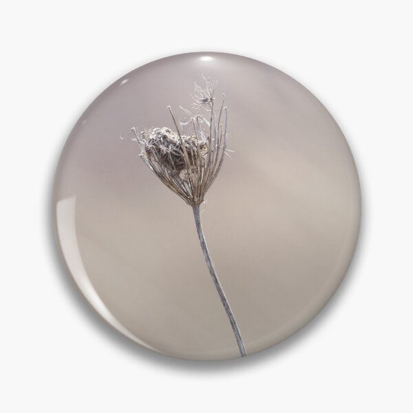 Item preview, Wild Carrot Seed Head designed and sold by heidipics.