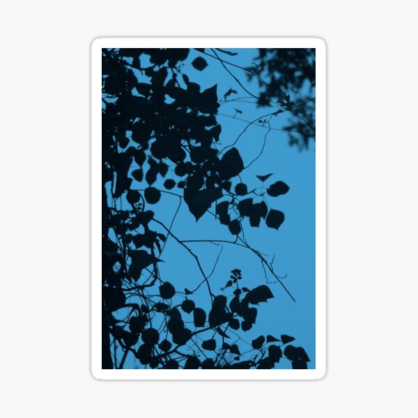 Twilight skies Sticker