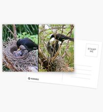 Not yawning — hungry! Postcards