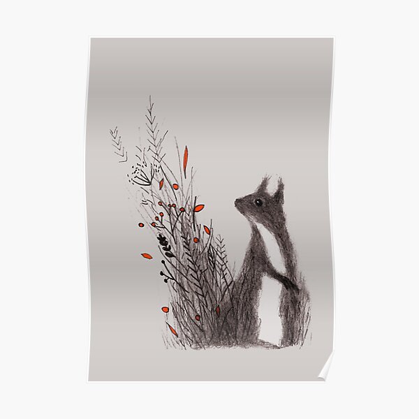 Squirrel Poster