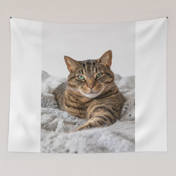 Item preview, Tabby Cat designed and sold by LizzieMaher.