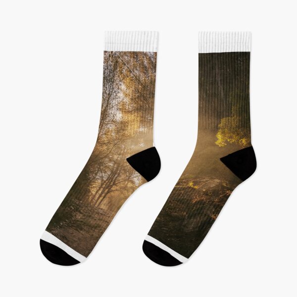 Item preview, A Walk In The Woods designed and sold by PhotoArt by Joan Carroll.