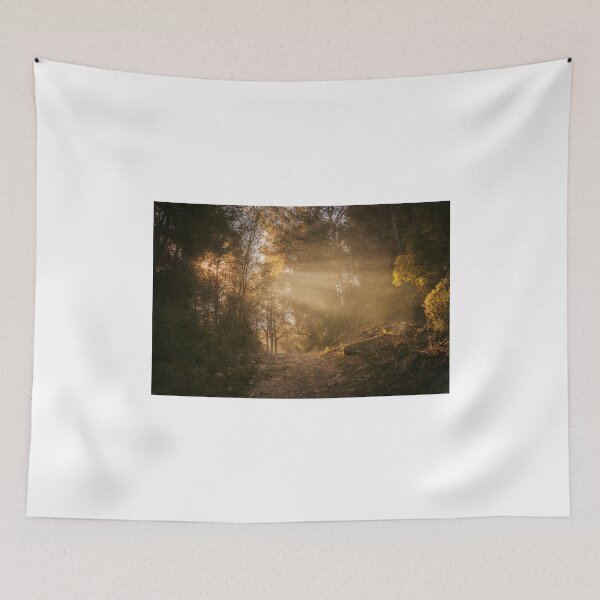Item preview, A Walk In The Woods designed and sold by PhotoArt by Joan Carroll.