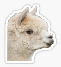 Alpaca llama Sticker