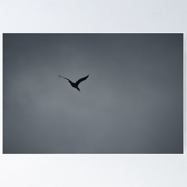 Item preview, Diving Duck Silhouette designed and sold by Leehopko.