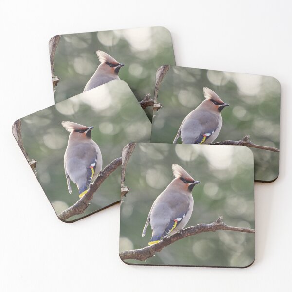 Item preview, All the balls of light. Bohemian waxwing designed and sold by Jouko Lehto Photography.
