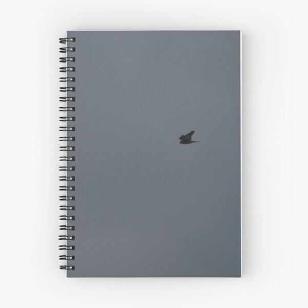 Item preview, Bird Hovering searching from prey designed and sold by Leehopko.