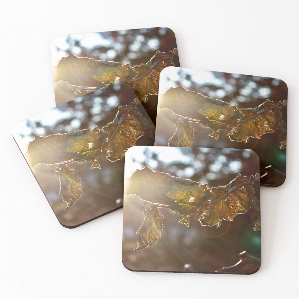 Item preview, Coasters (Set of 4) designed and sold by KERNALS.