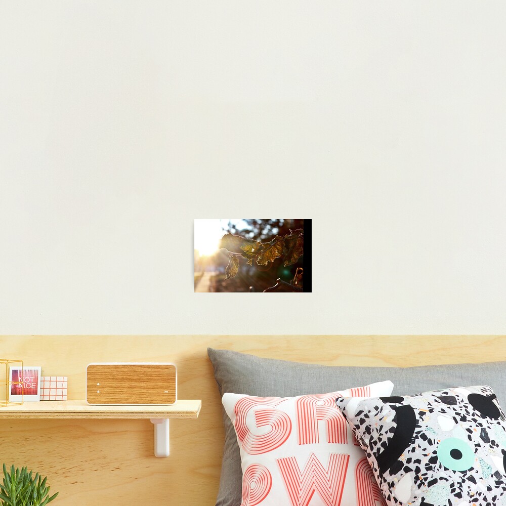 Item preview, Photographic Print designed and sold by KERNALS.