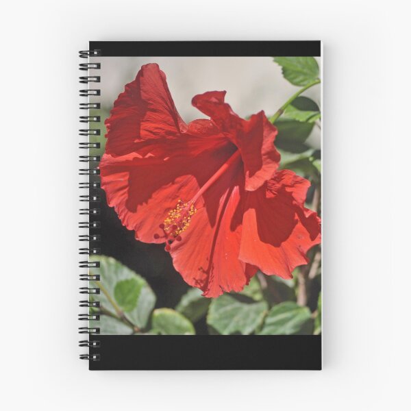 Item preview, BRIGHT RED HIBISCUS designed and sold by JAYMILO.