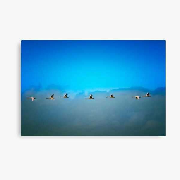 Item preview, The 7 Swans designed and sold by THHoang.