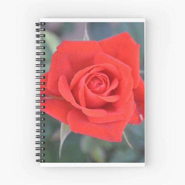 Item preview, ANOTHER PERFECT RED ROSE designed and sold by JAYMILO.