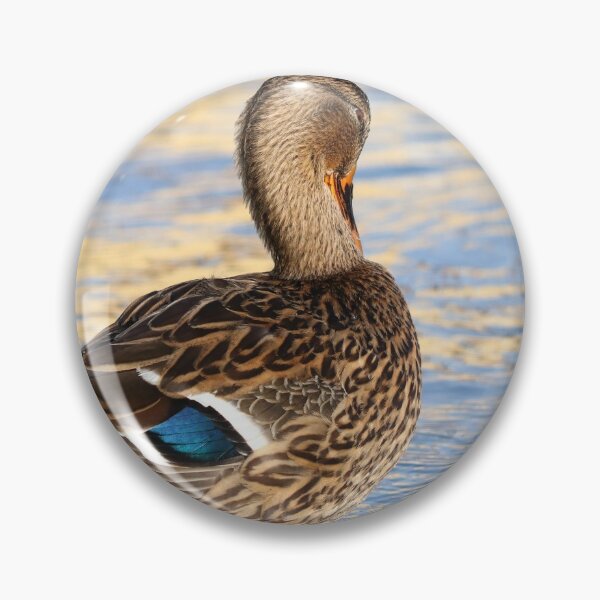 Item preview, Preening duck designed and sold by GreyFeatherPhot.
