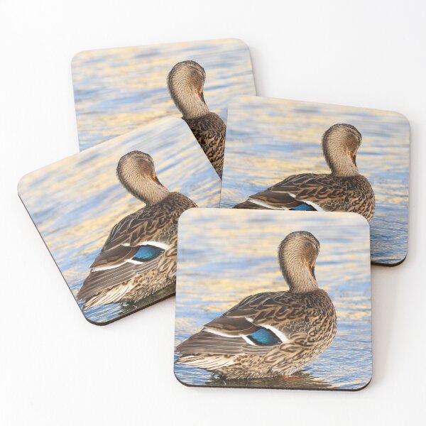 Item preview, Preening duck designed and sold by GreyFeatherPhot.