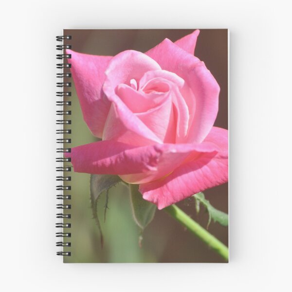 Item preview, ANOTHER PERFECT PINK ROSE designed and sold by JAYMILO.
