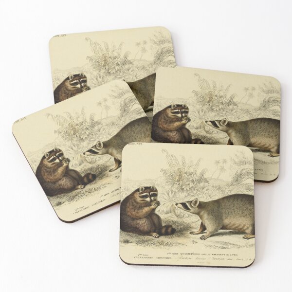 Item preview, Naturalist Raccoon designed and sold by BlueSpecsStudio.