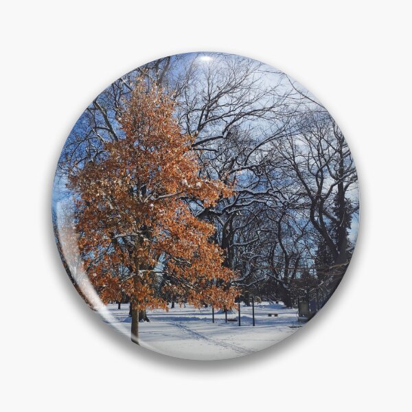 Item preview, Winter in City Park | Fort Collins, Colorado designed and sold by voz-captures.