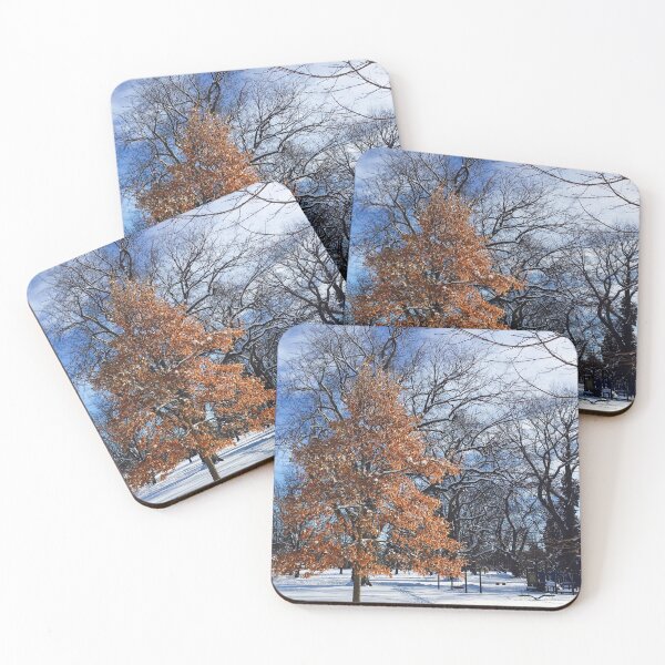 Item preview, Winter in City Park | Fort Collins, Colorado designed and sold by voz-captures.