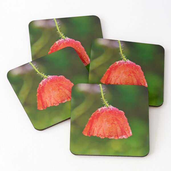 Item preview, Poppy in the rain designed and sold by Claudia-Evans.