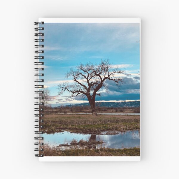Item preview, Cottonwood Tree in Spring | Fort Collins, Colorado designed and sold by voz-captures.