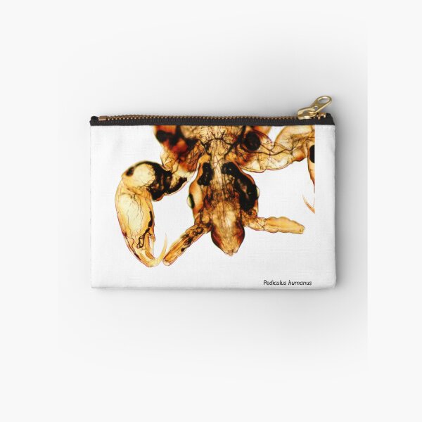 Item preview, Calendar body louse new designed and sold by Bobbi Pritt.