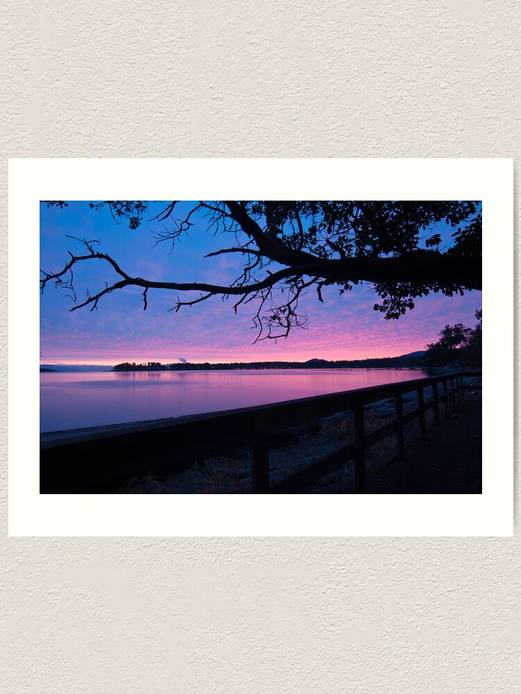Alternate view of Arbutus over Bay Art Print