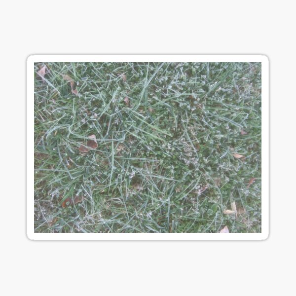 Frosted Fescue and Clover Sticker