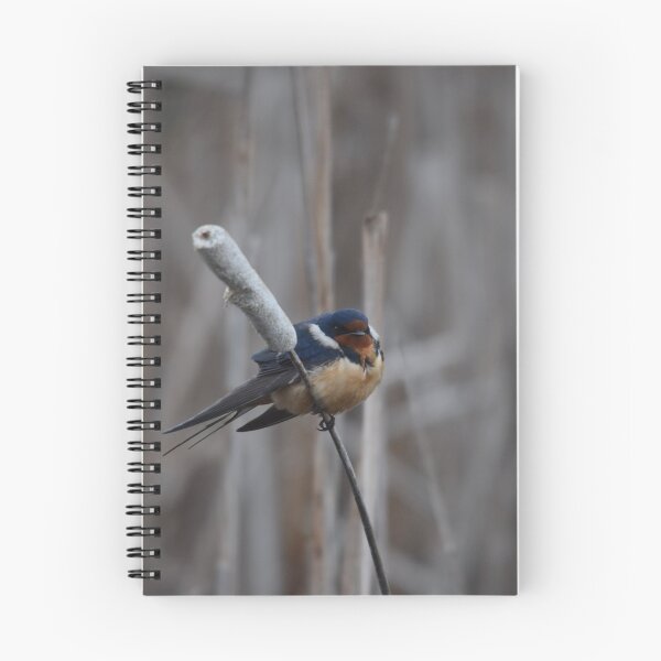 Item preview, Barn Swallow designed and sold by Pauline Catling.