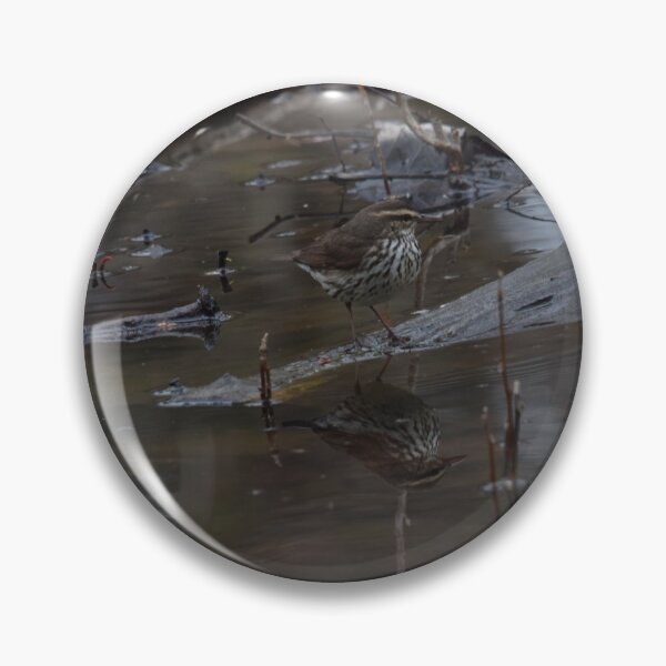 Item preview, Northern Waterthrush designed and sold by Pauline Catling.