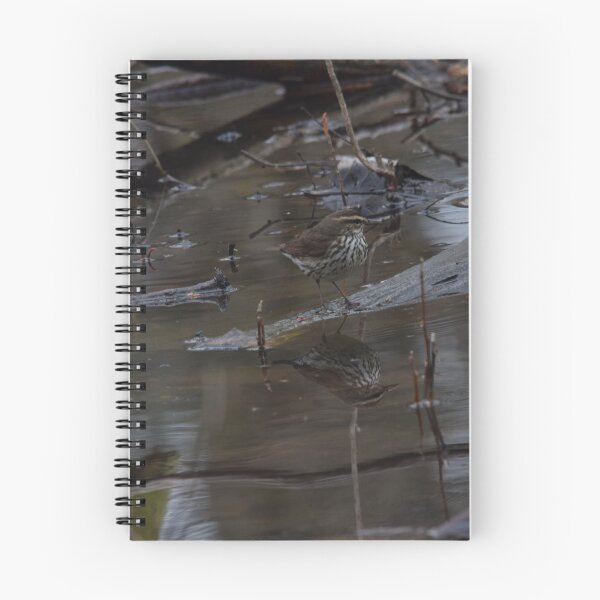 Item preview, Northern Waterthrush designed and sold by Pauline Catling.