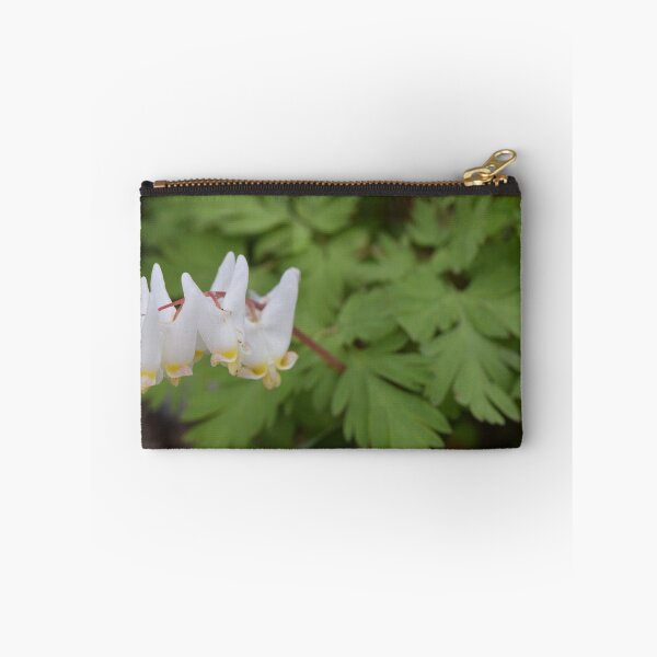 Item preview, Dutchman's breeches  (Dicentra cucullaria) designed and sold by Pauline Catling.