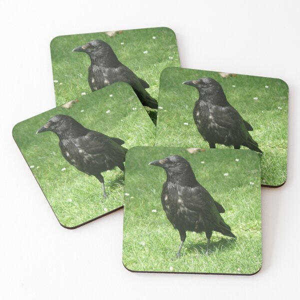 Item preview, Clever Carrion Crow on Green Grass Photograph designed and sold by naturegallery.