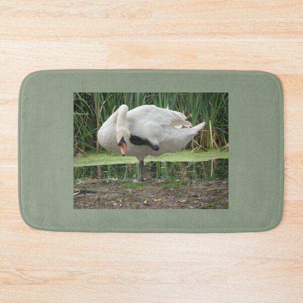 Item preview, Male Mute Swan Scratching its Head Photograph designed and sold by naturegallery.