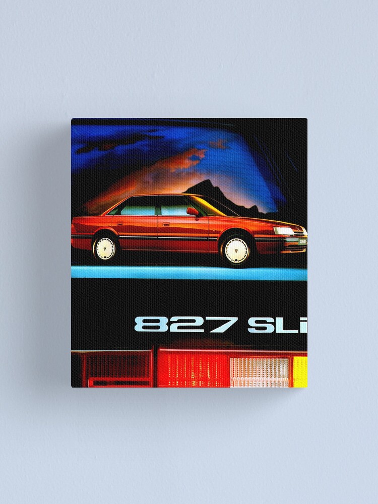 827 canvas
