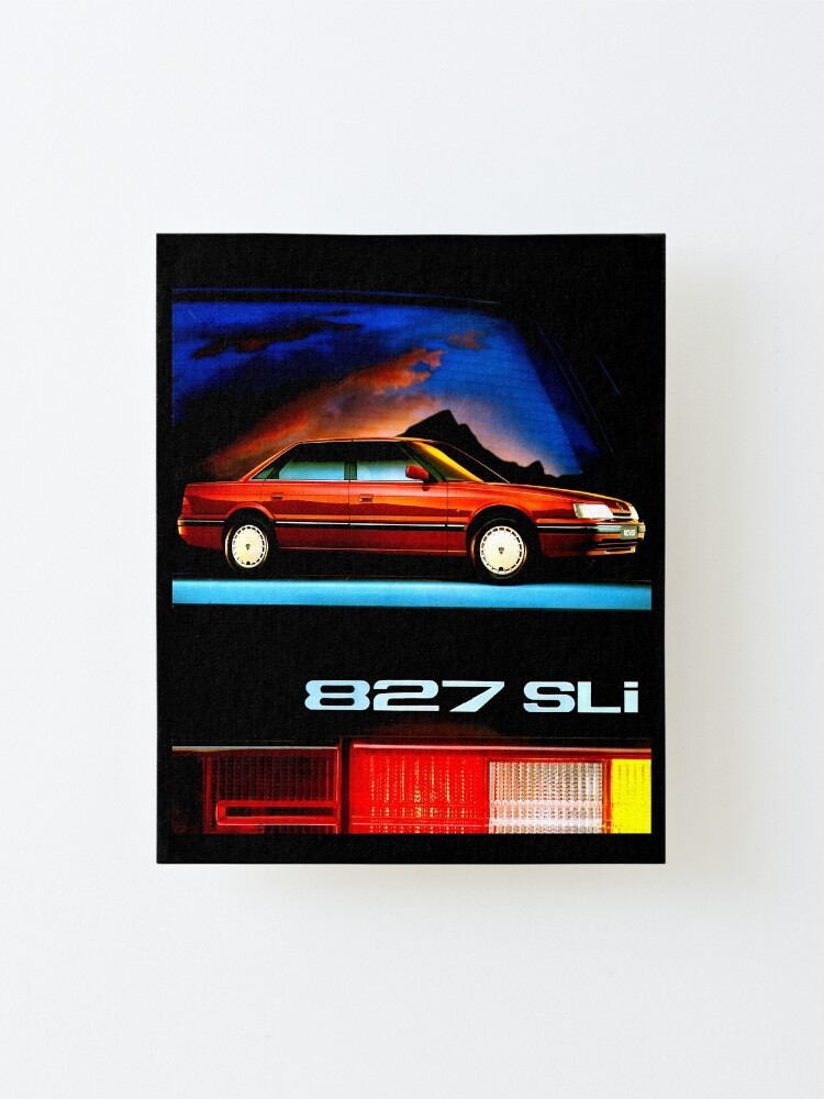 827 canvas
