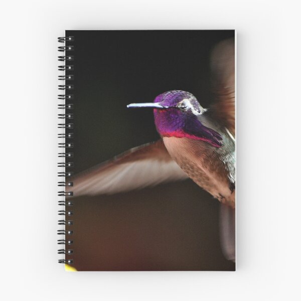 Item preview, ADULT MALE COSTA'S IN FLIGHT designed and sold by JAYMILO.